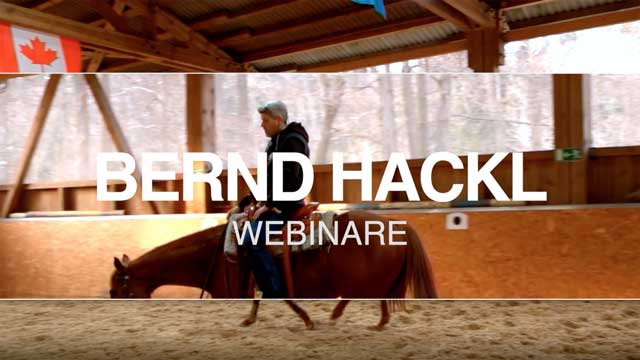 bh_webinar.jpg