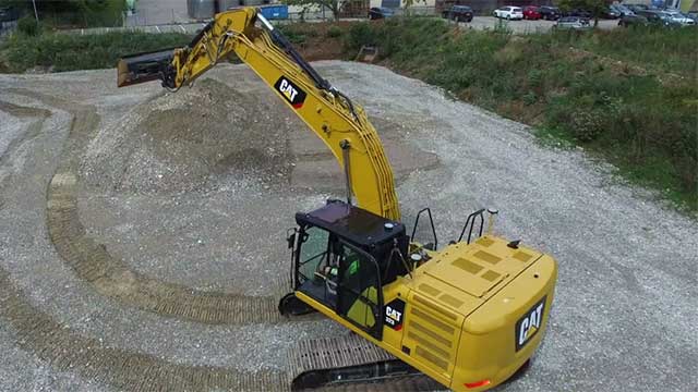 cat323.jpg