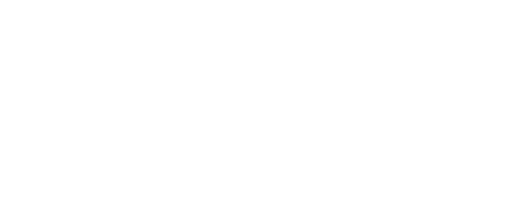 vision.png
